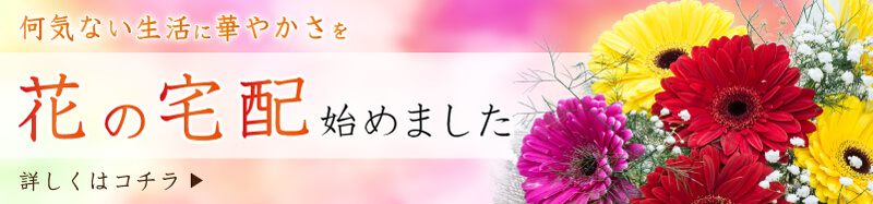 何気ない日常に華やかさを/花の宅配始めました。/詳しくはコチラ
