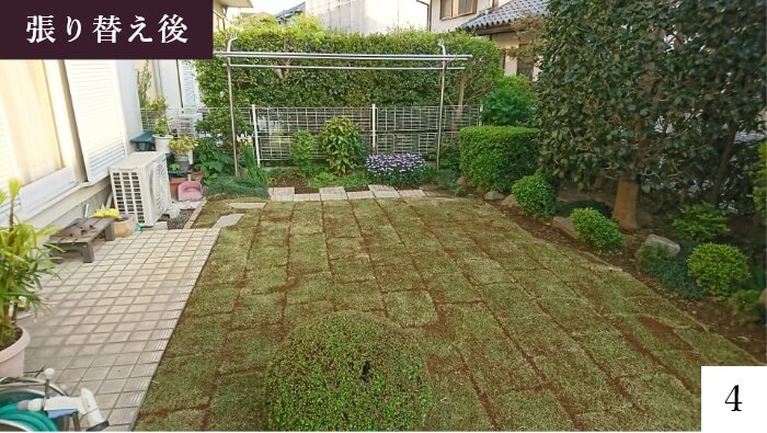 芝の張り替え