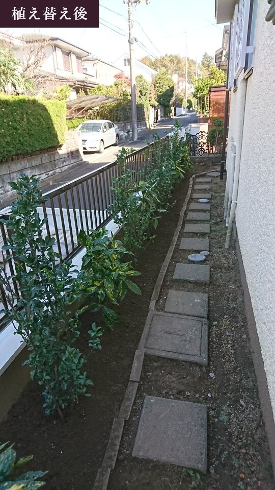 木の植え替え