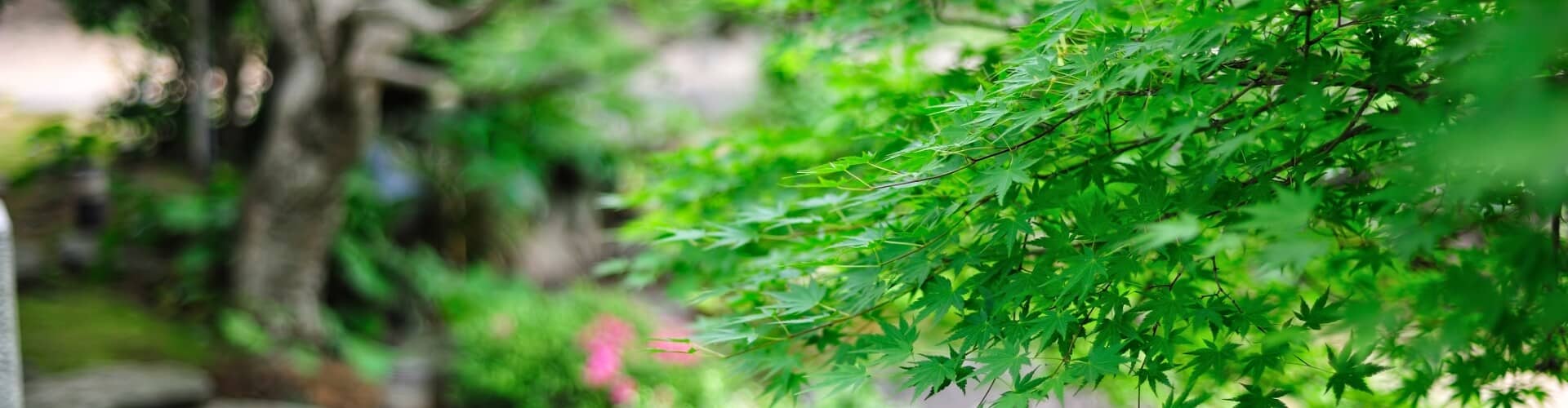 植木屋 庭嗣